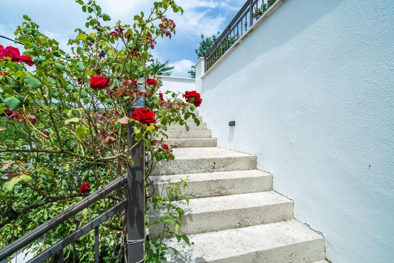 Hidden Gem Apartment Molunat Dış mekan fotoğraf